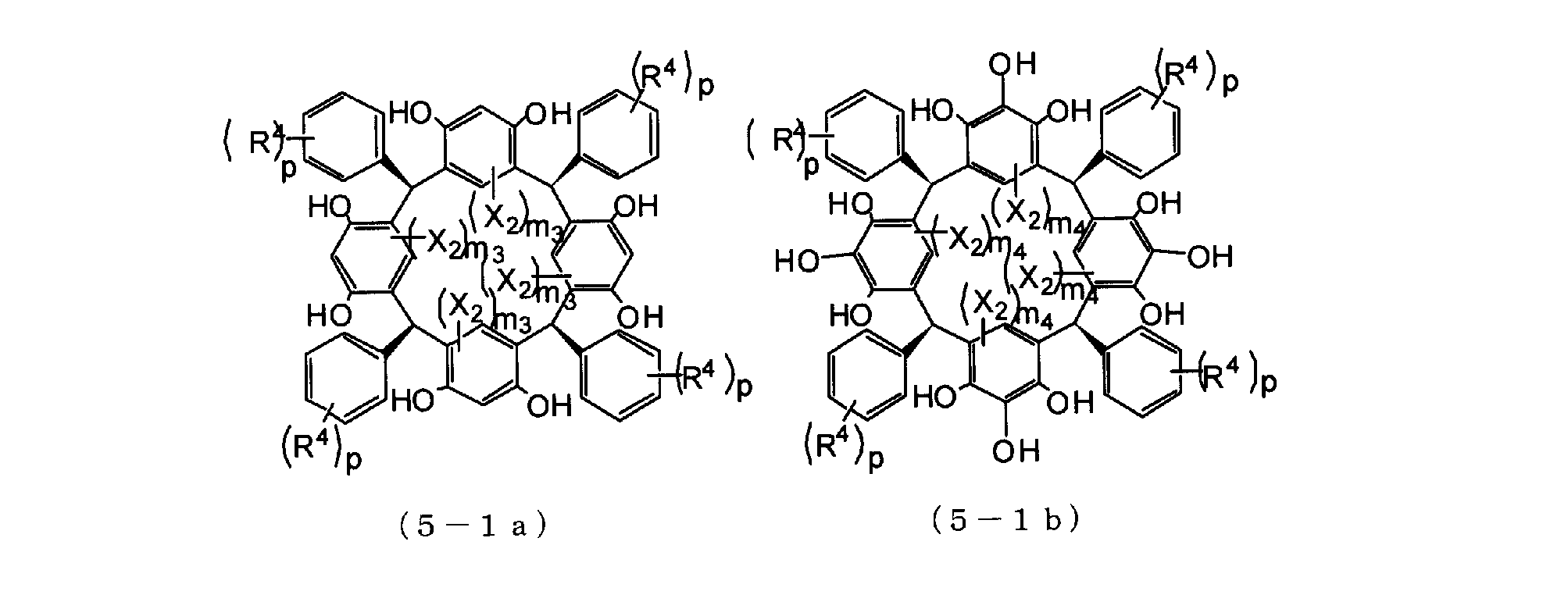 Figure JPOXMLDOC01-appb-C000009