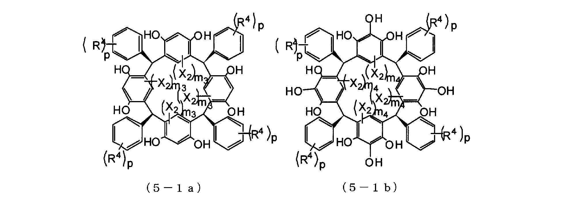 Figure JPOXMLDOC01-appb-C000020