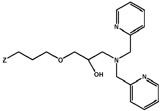 Figure imgb0051