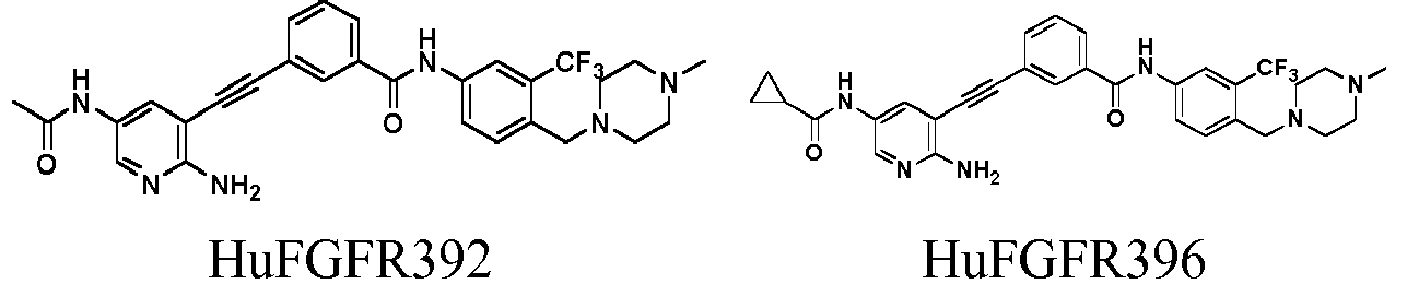 Figure imgb0024