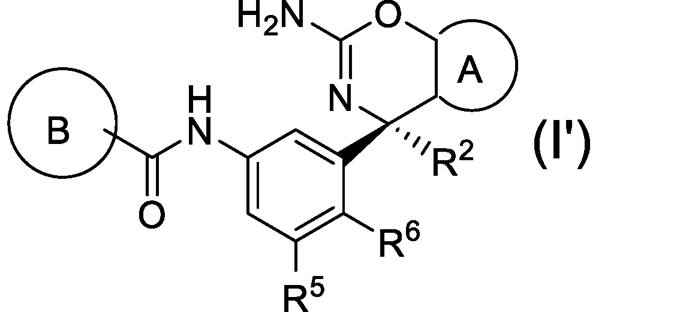 Figure JPOXMLDOC01-appb-C000013