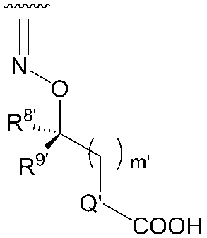 Figure JPOXMLDOC01-appb-C000113