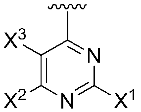Figure JPOXMLDOC01-appb-C000006