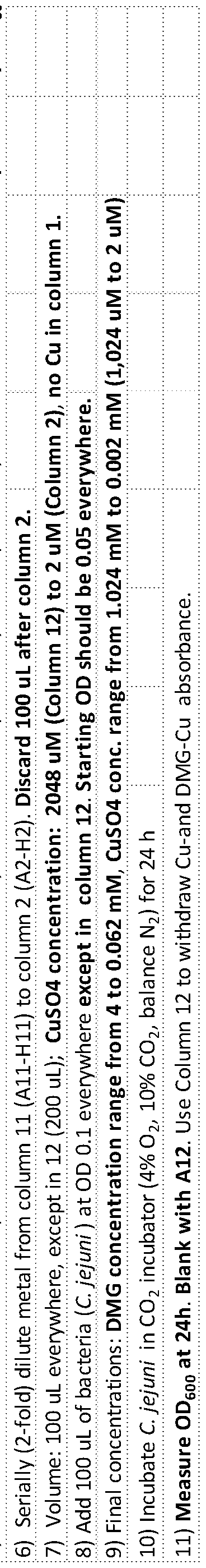 Figure imgf000053_0002