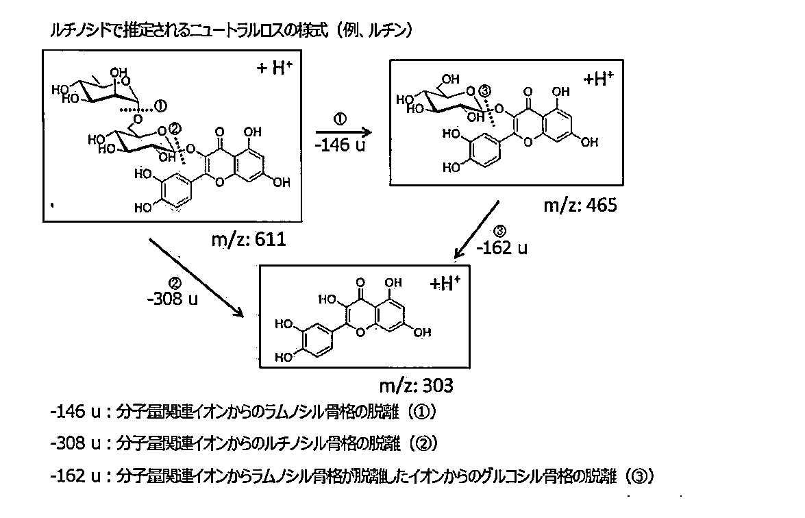 Figure JPOXMLDOC01-appb-C000002