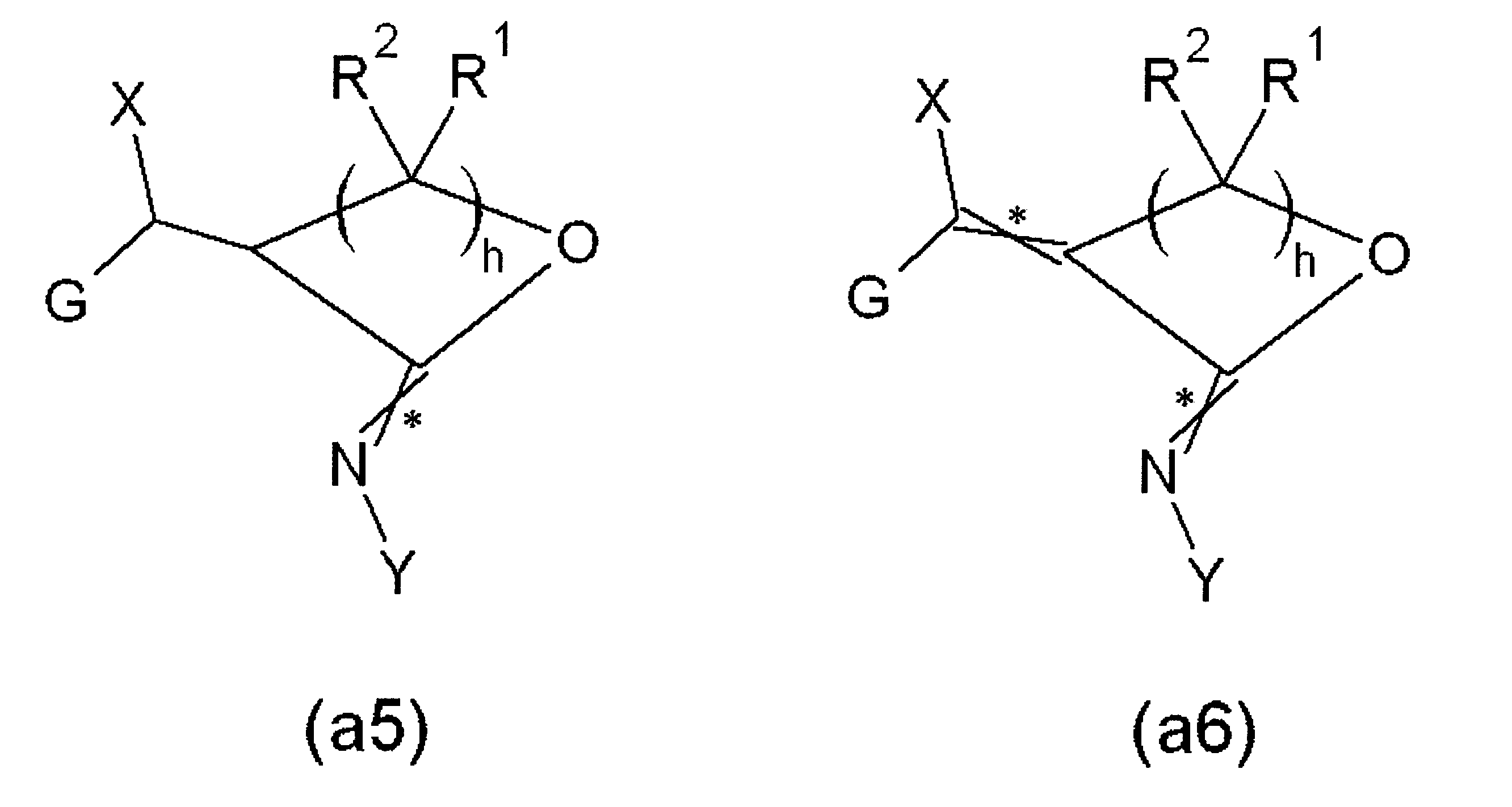 Figure JPOXMLDOC01-appb-C000012