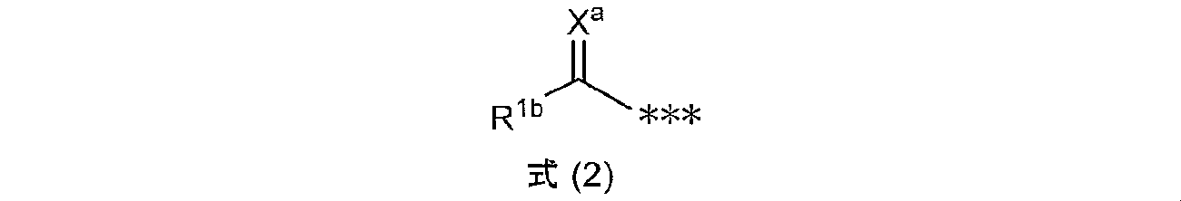 Figure JPOXMLDOC01-appb-C000005