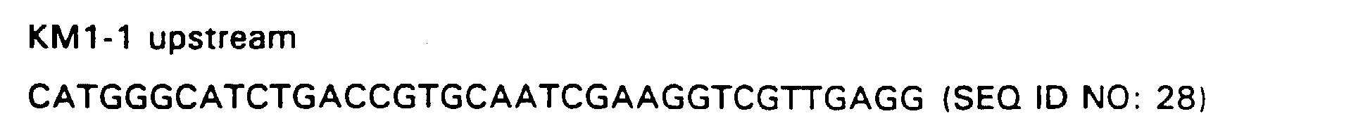 Figure 00260001