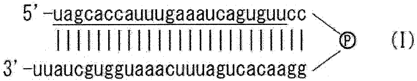 Figure imgb0004