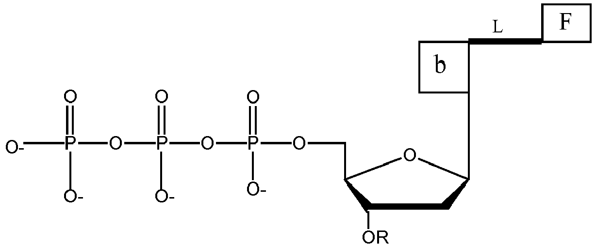 Figure imgb0015