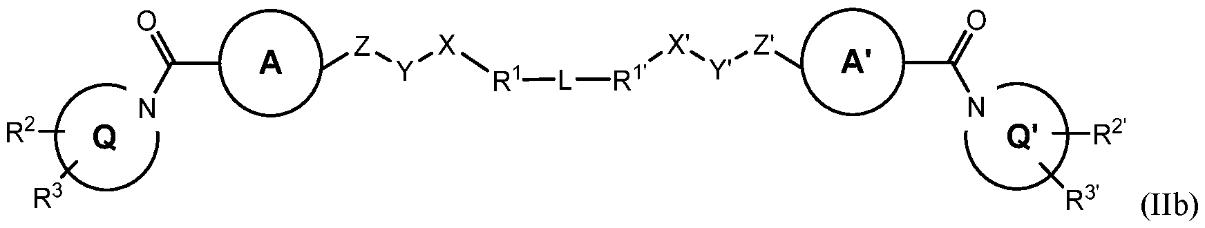 Figure imgf000011_0002