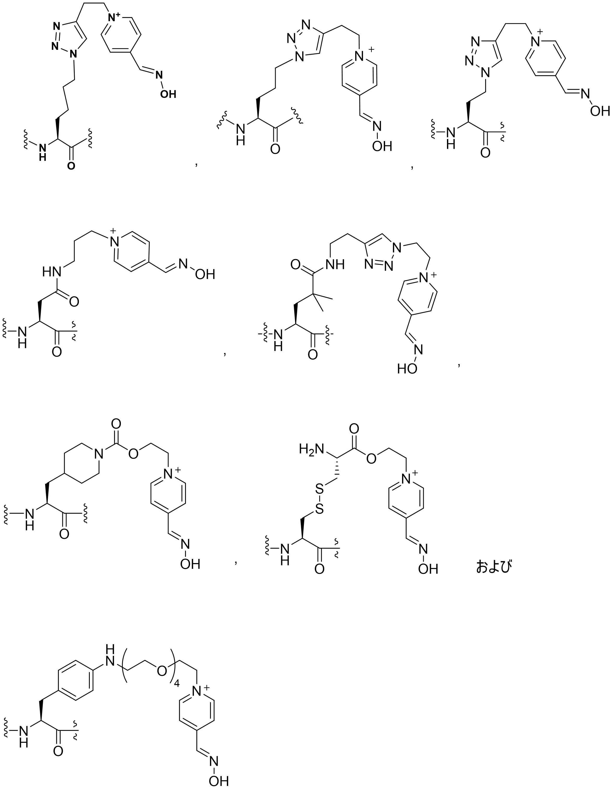Figure JPOXMLDOC01-appb-C000102