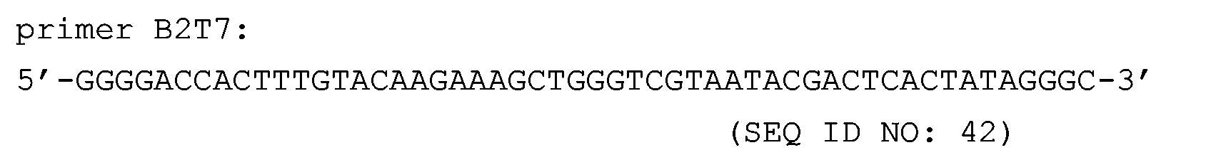 Figure 01170002
