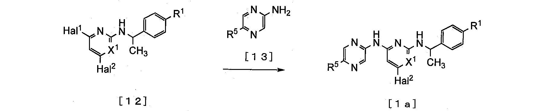 Figure JPOXMLDOC01-appb-C000044