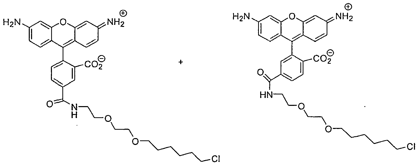 Figure imgb0011