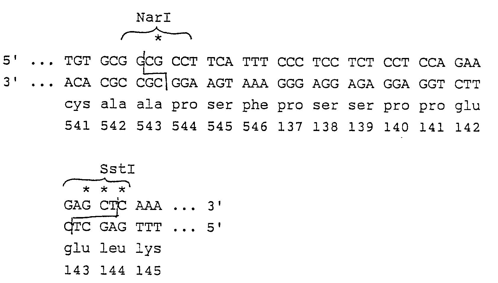 Figure imgb0006