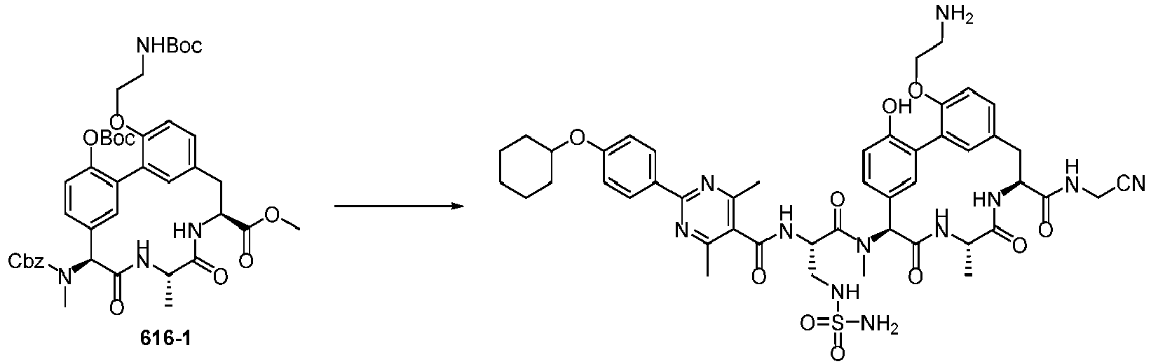 Figure imgb1061