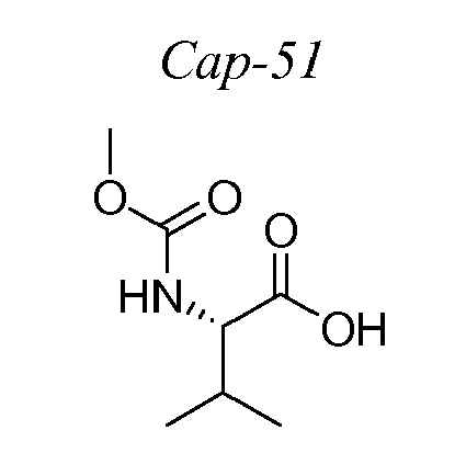 Figure imgb0019