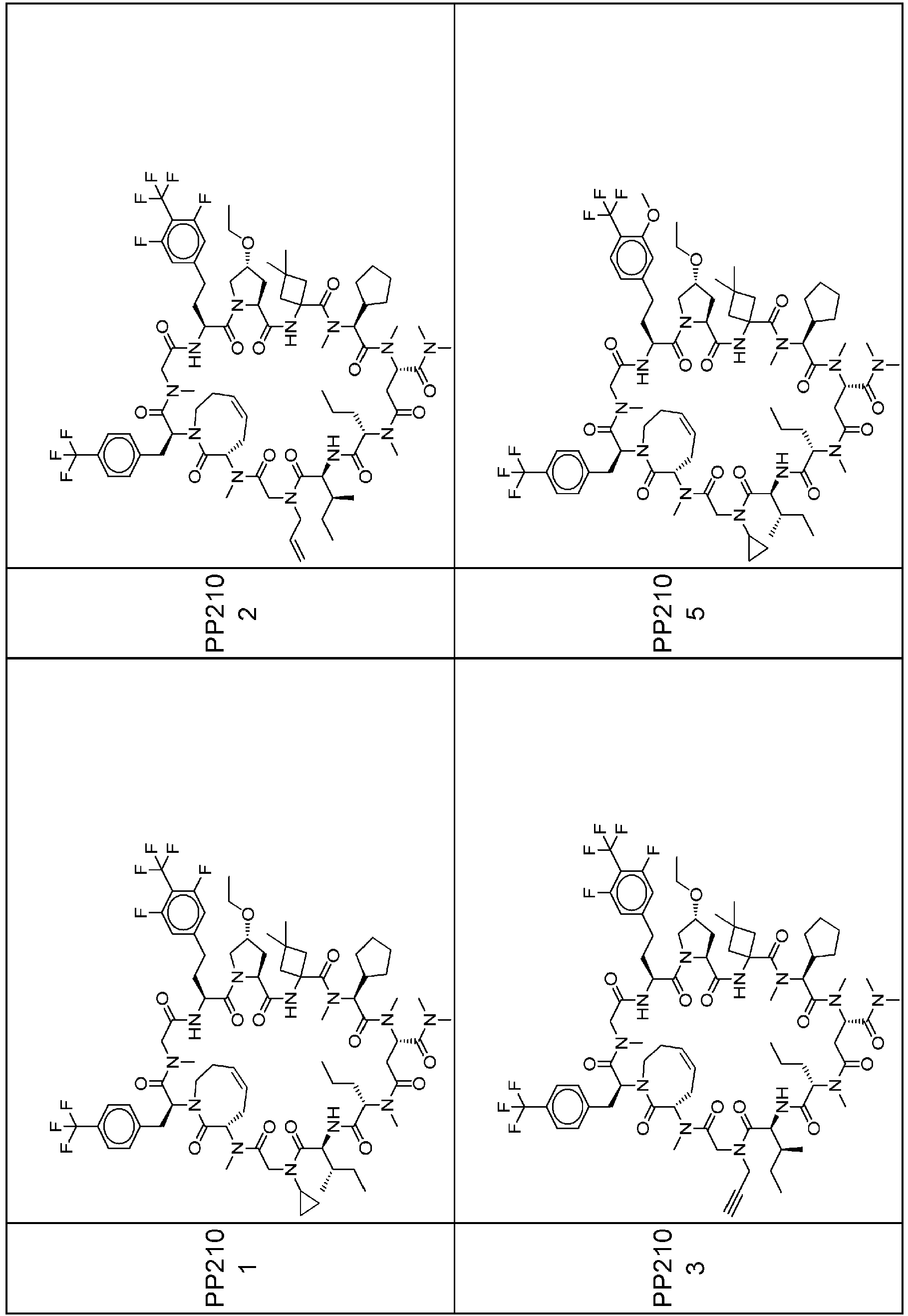 Figure imgb1402