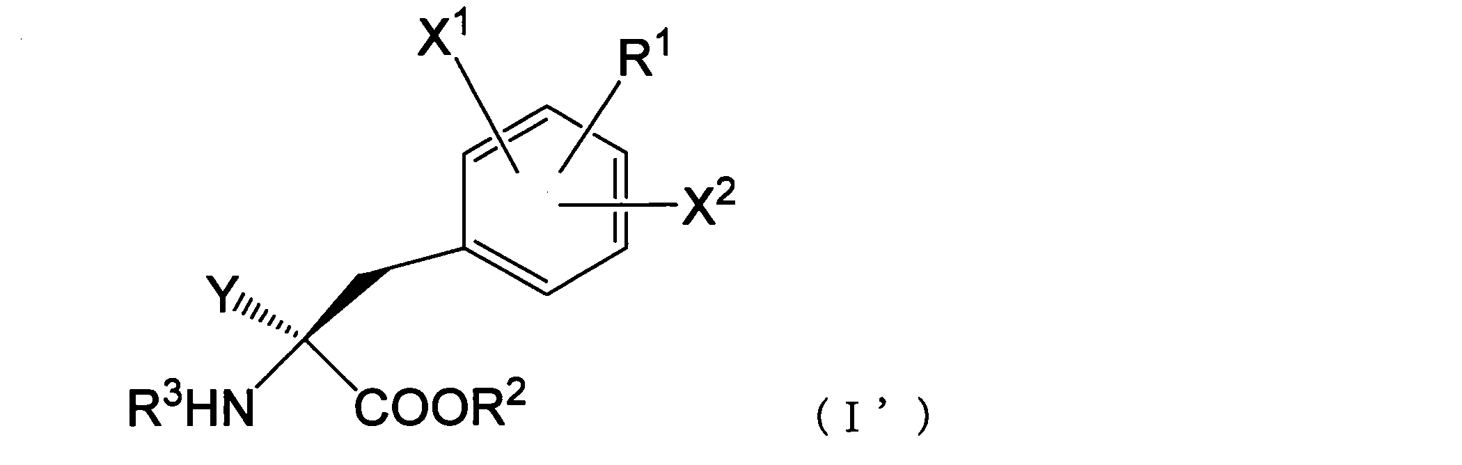 Figure JPOXMLDOC01-appb-C000011