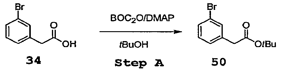 Figure imgf000041_0002