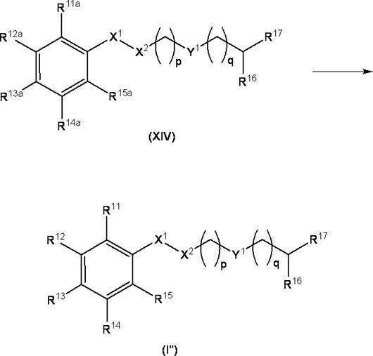 Figure JPOXMLDOC01-appb-C000025