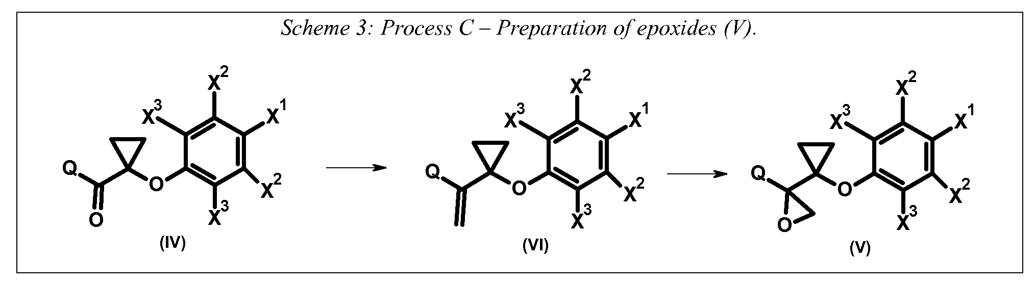 Figure imgf000013_0002