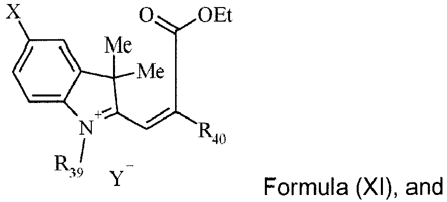 Figure imgb0048