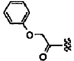 Figure imgb0459