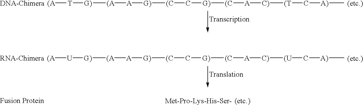 Figure US20030190749A1-20031009-C00004