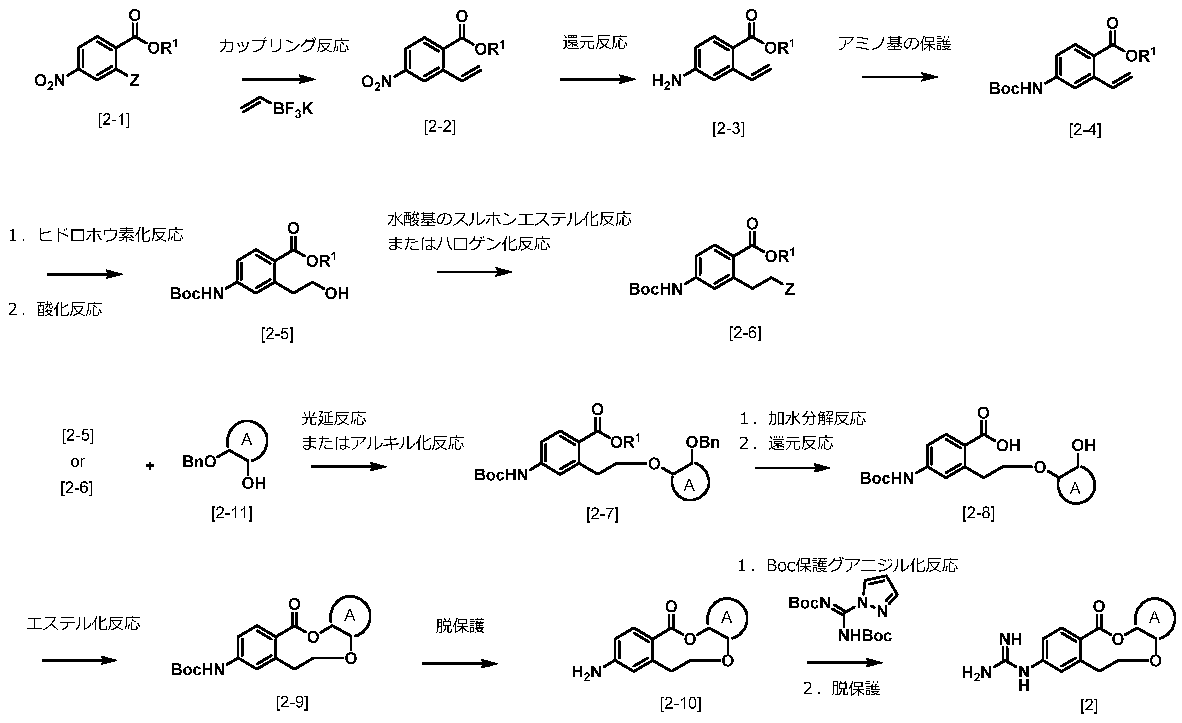 Figure JPOXMLDOC01-appb-C000013