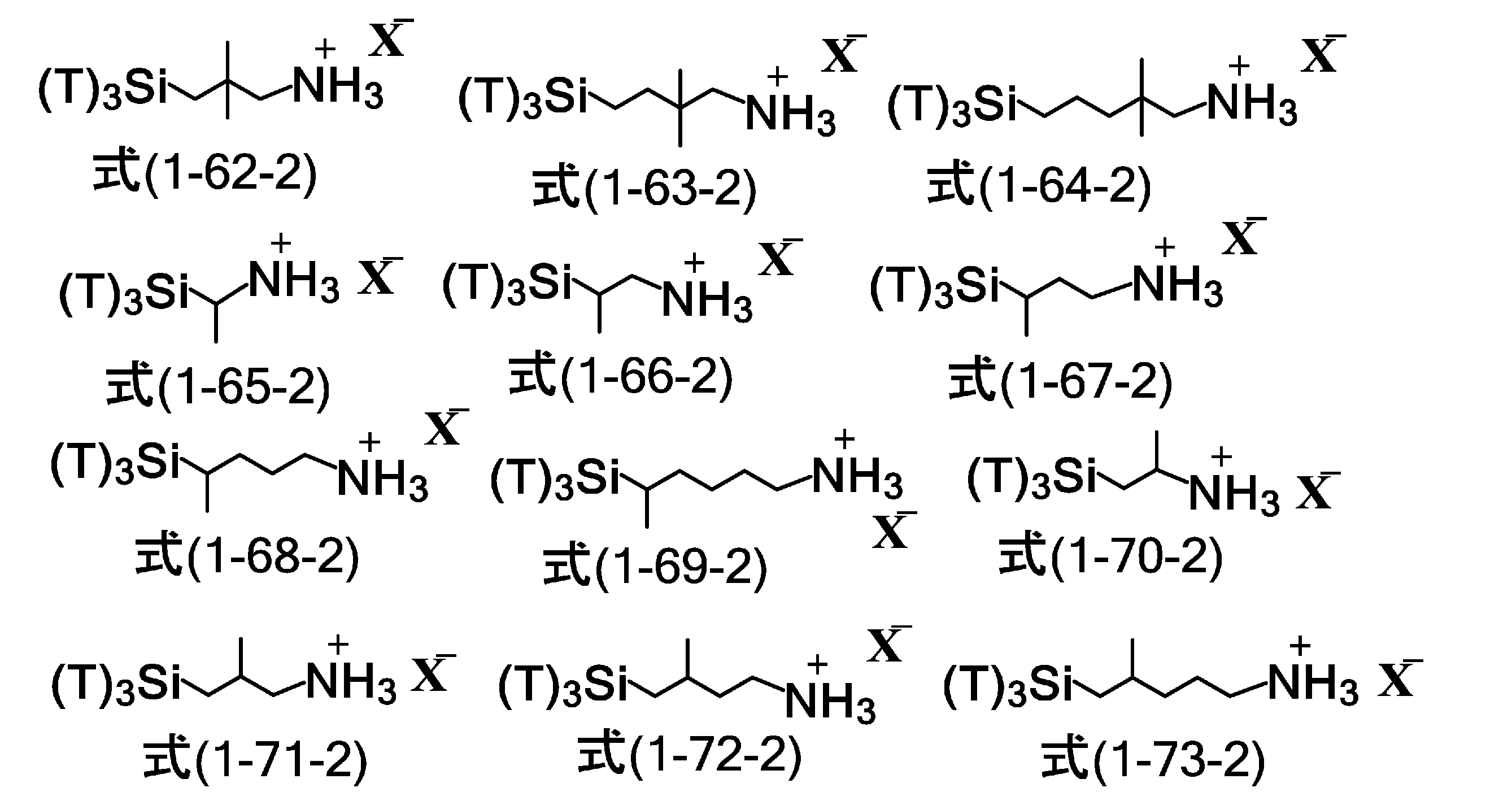 Figure JPOXMLDOC01-appb-C000055