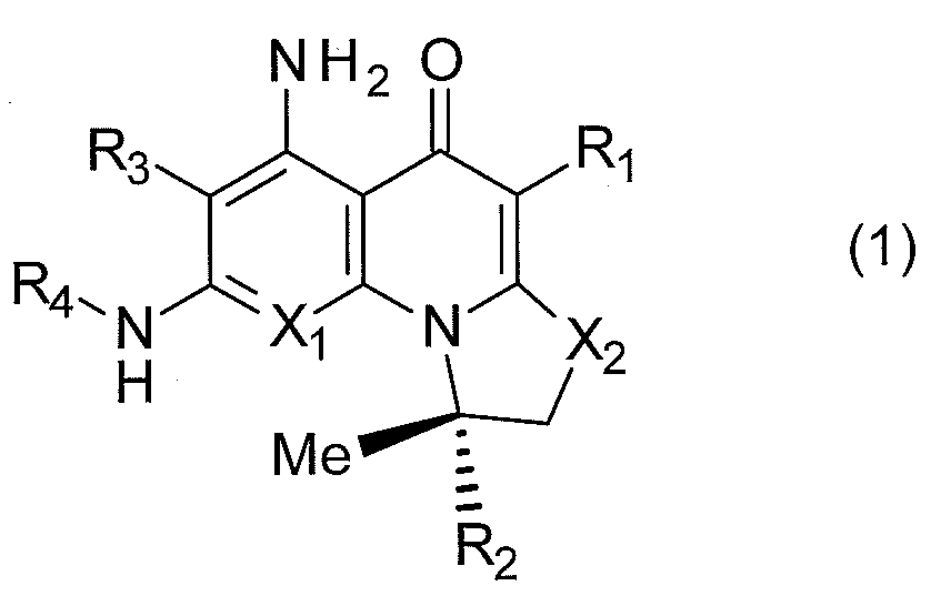Figure JPOXMLDOC01-appb-C000002