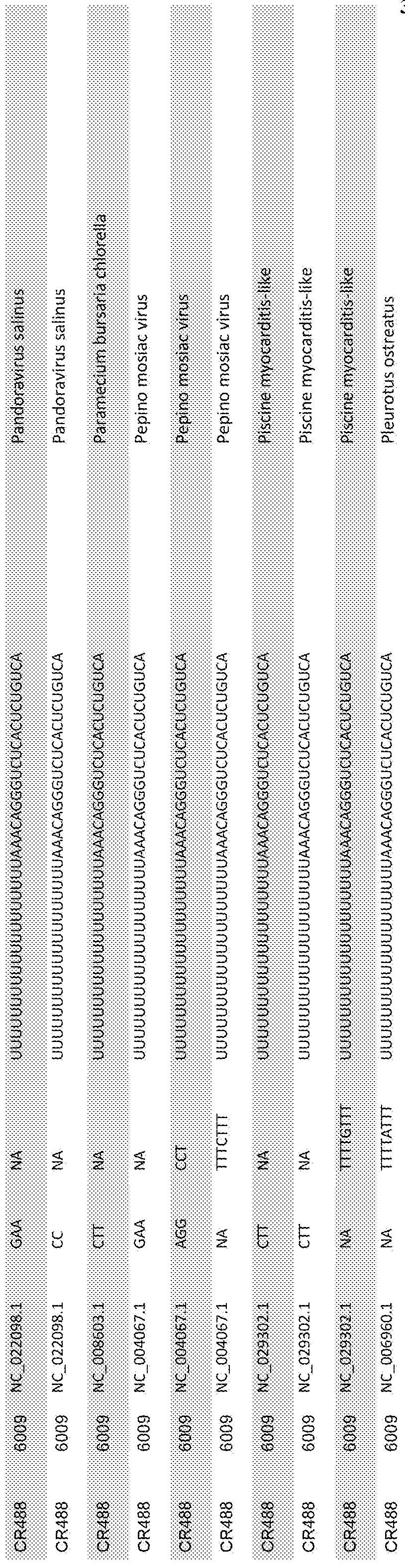 Figure imgf000334_0001