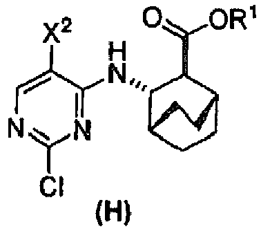 Figure imgb0007