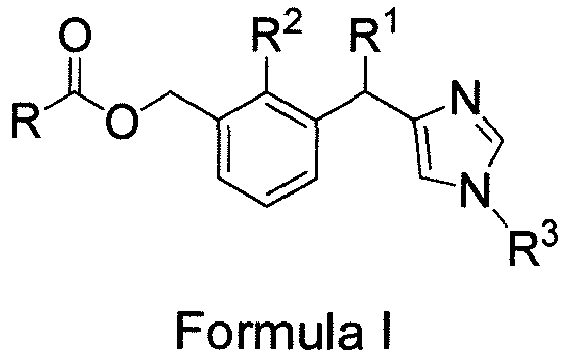 Figure imgb0024