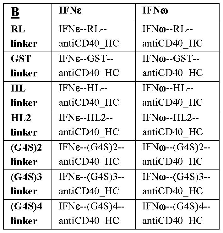 Figure imgf000057_0002
