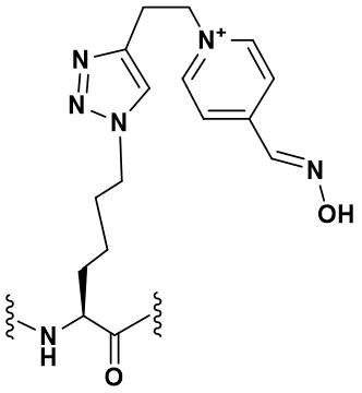 Figure JPOXMLDOC01-appb-C000103