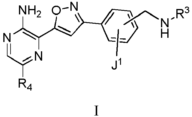 Figure imgb0010