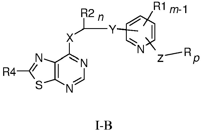 Figure imgb0010