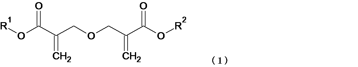 Figure JPOXMLDOC01-appb-C000005