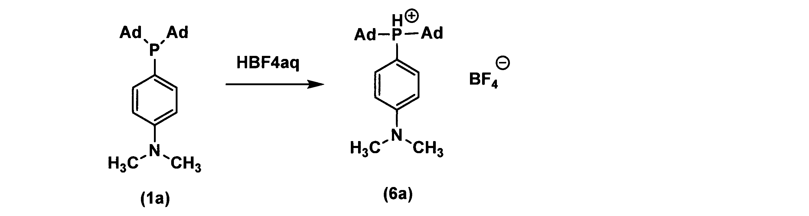 Figure JPOXMLDOC01-appb-C000041