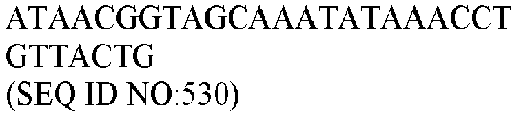 Figure imgb0029