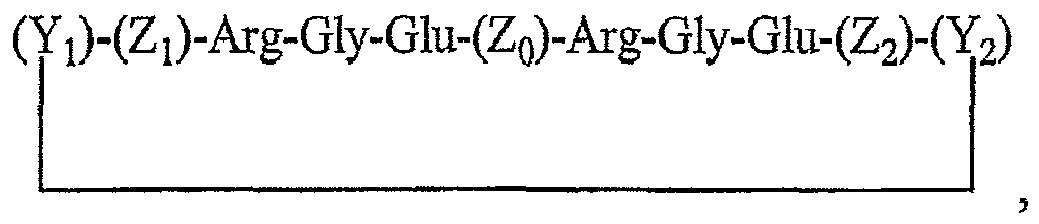 Figure imgb0030