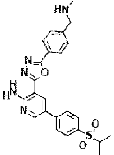 Figure imgb0013