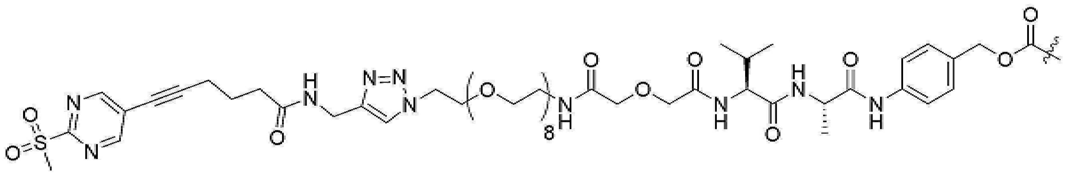 Figure pct00987