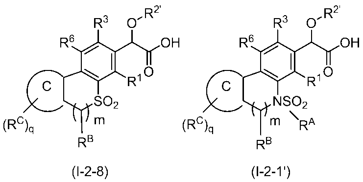 Figure JPOXMLDOC01-appb-C000113