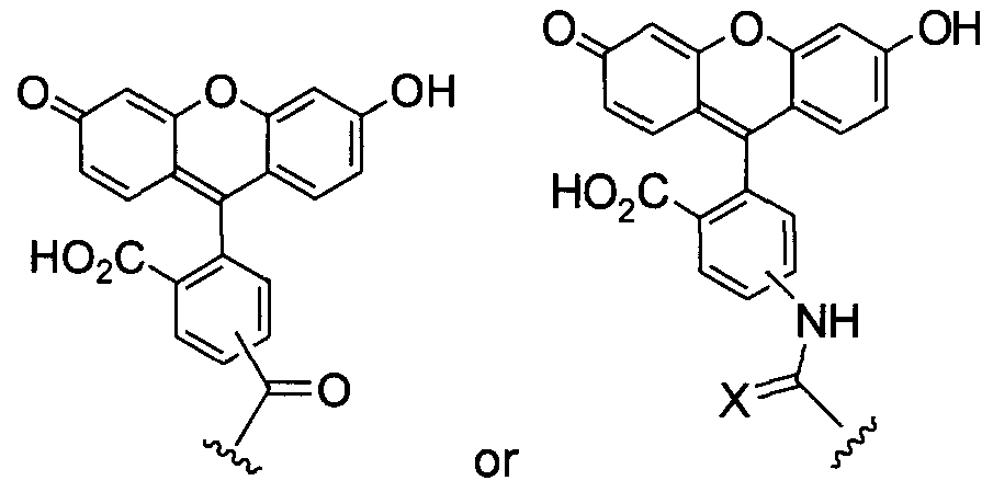 Figure imgf000024_0001