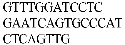 Figure imgb0014