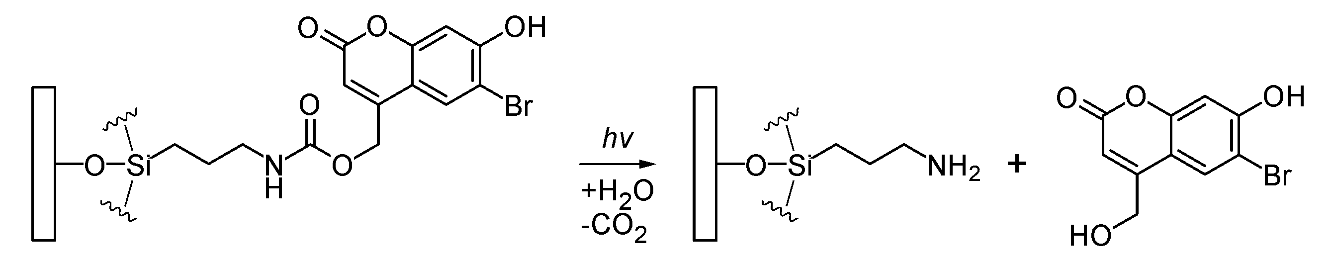 Figure JPOXMLDOC01-appb-C000007